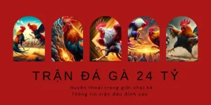 Trận Đá Gà 24 Tỷ