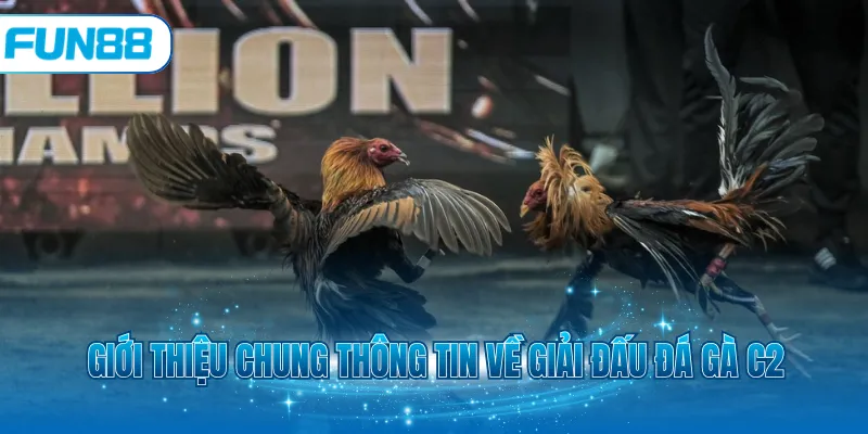 Giới thiệu chung thông tin về giải đấu đá gà C2
