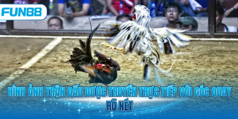 Hình ảnh trận đấu được truyền trực tiếp với góc quay rõ nét