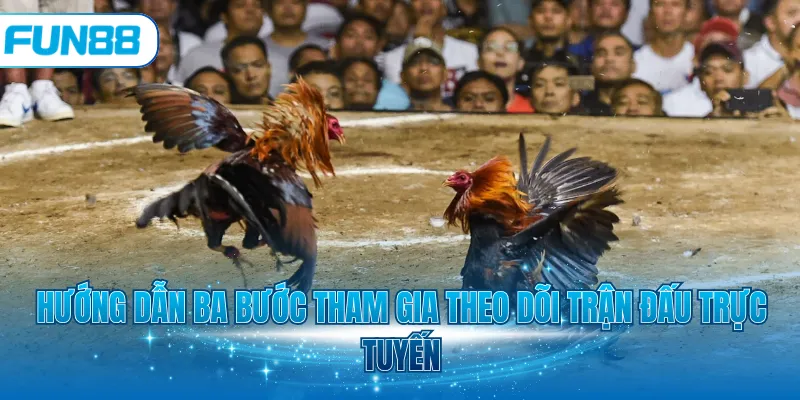 Hướng dẫn ba bước tham gia theo dõi trận đấu trực tuyến
