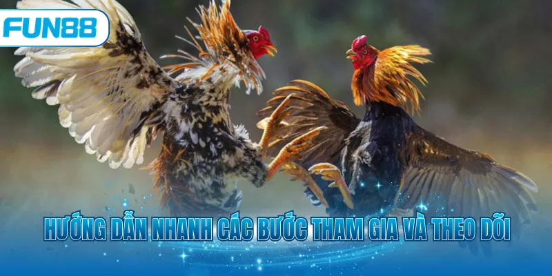 Hướng dẫn nhanh các bước tham gia và theo dõi