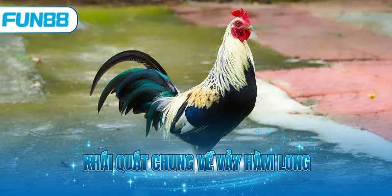 Khái quát chung về Vảy Hàm Long