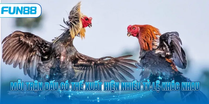 Mỗi trận đấu có thể xuất hiện nhiều tỷ lệ khác nhau
