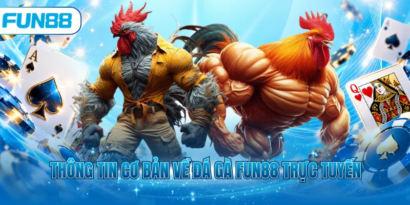 Thông tin cơ bản về đá gà Fun88 trực tuyến