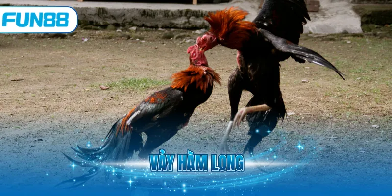 Vảy Hàm Long